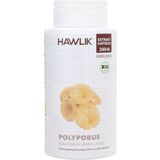 Hawlik Polyporus Extrakt Kapseln, Bio