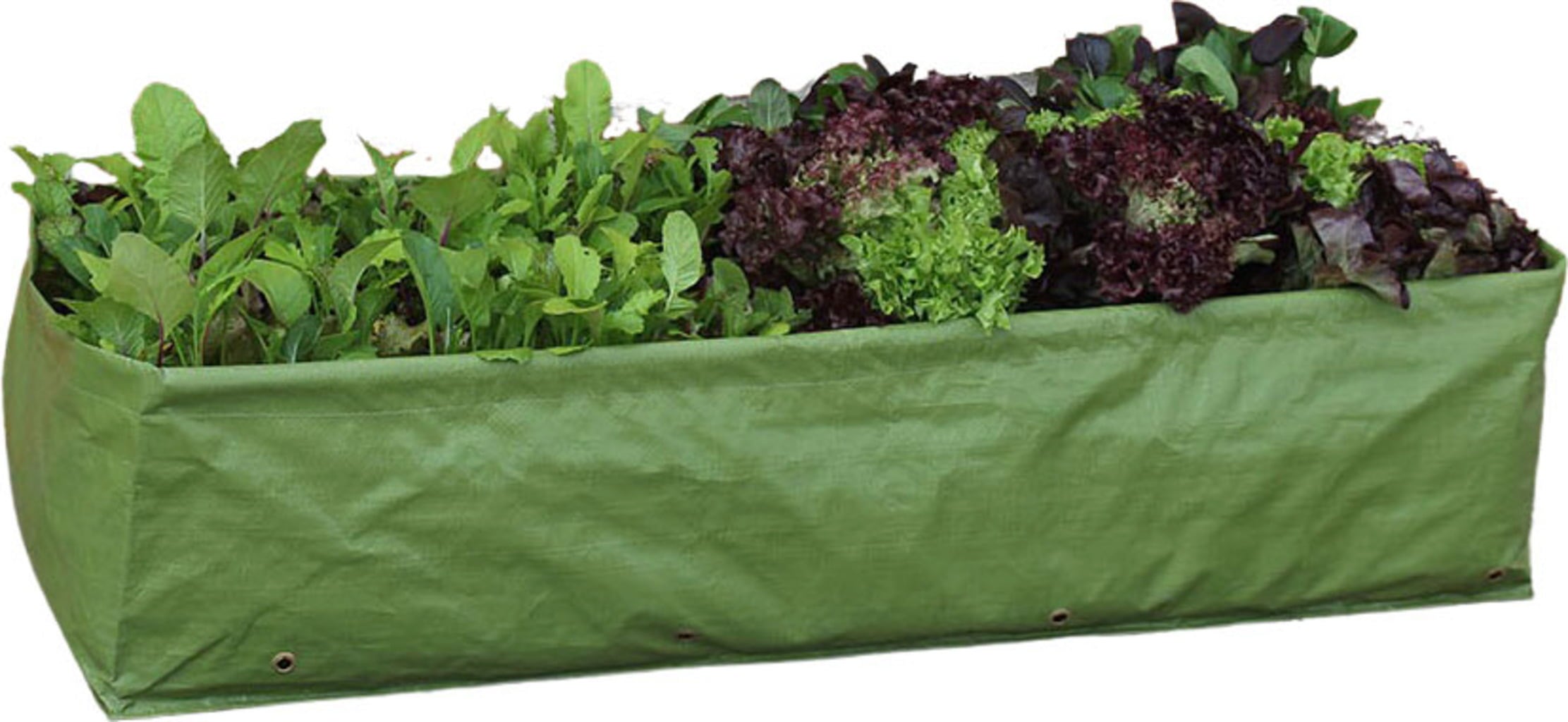 Haxnicks Große Allzweck-Pflanztasche
