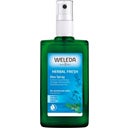 Weleda Salbei Deodorant - 100 ml