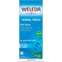 Weleda Salbei Deodorant - 100 ml