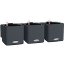 Lechuza Tischgefäß Green Wall Home Kit Color - Schiefergrau