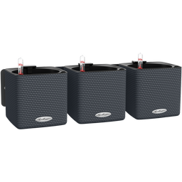 Lechuza Tischgefäß Green Wall Home Kit Color - Schiefergrau