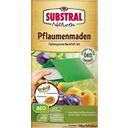Substral Bio Pflaumenmaden-Falle Nachrüstset - 1 Set