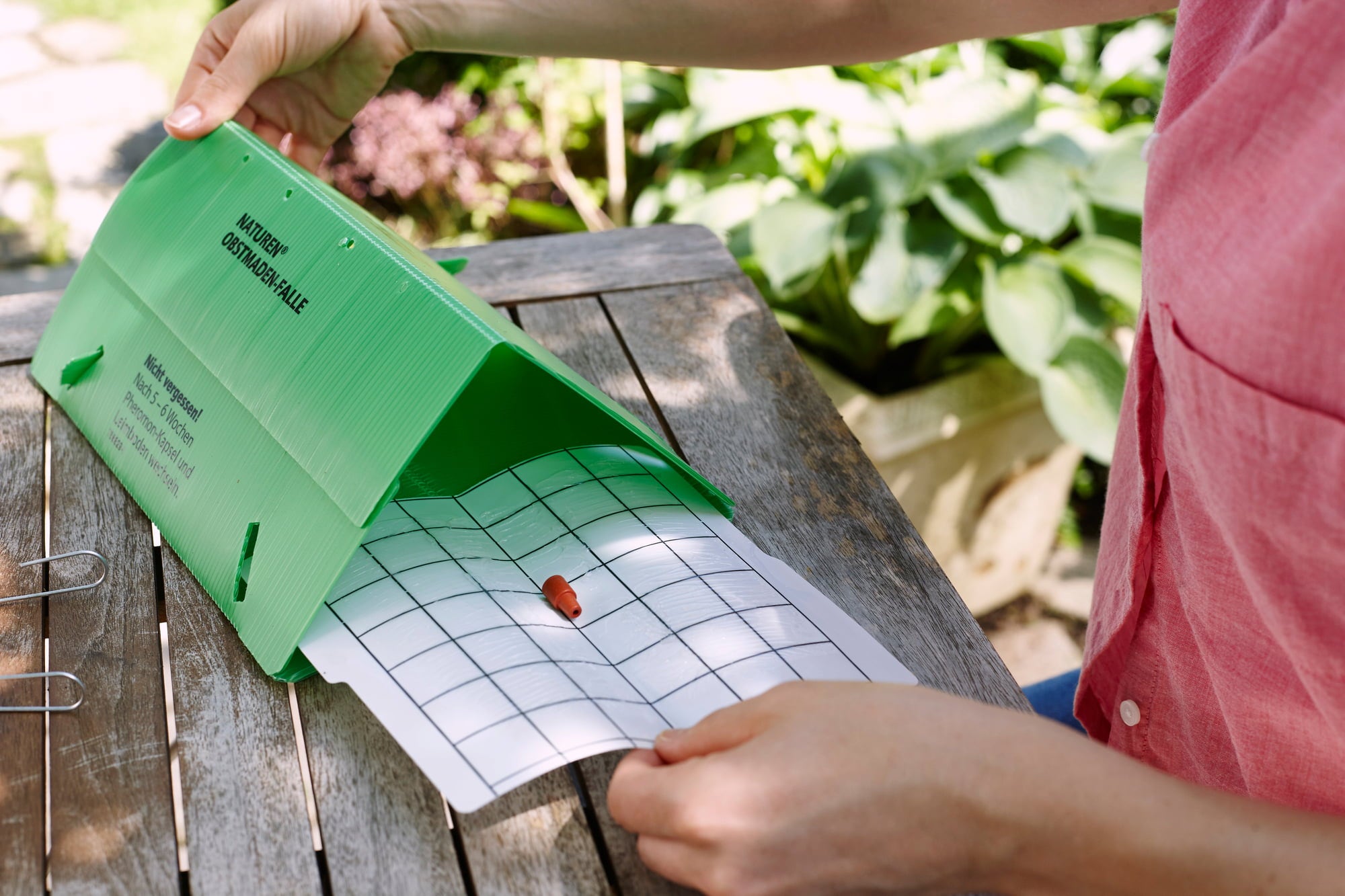 Substral Bio Obstmaden-Falle Nachrüstset - 1 Set