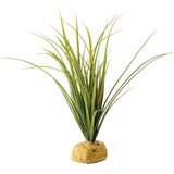 Exo Terra Turtle Grass