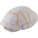 Exo Terra Landschildkröten Skelett - 1 Stk