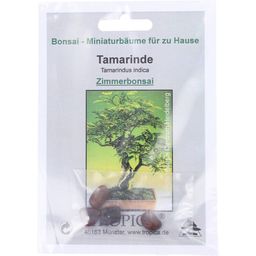 TROPICA Tamarinde - 1 Pkg