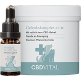 CBD VET Gelenks-Box Premium f&uuml;r Hunde