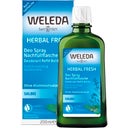 Weleda Salbei Deodorant - 200 ml Nachfüller