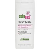 sebamed Body Milk