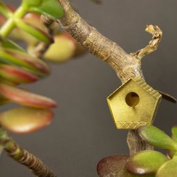 Botanopia Mini-Vogelhaus für Pflanzen - 1 Stk