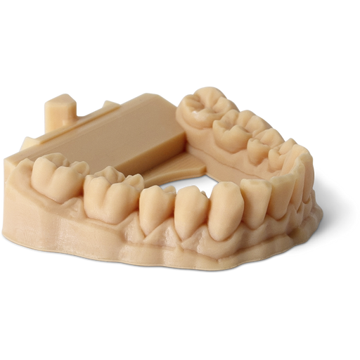 Phrozen Water-Washable Dental Model Resin Beige - 1.000 g
