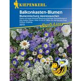 Balkonkastenblumen "Meeresrauschen Blau/Weiß"