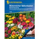 Blumenmischung Saatteppich Balkonkastenblumen