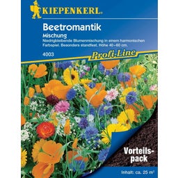 Kiepenkerl Beetromantik