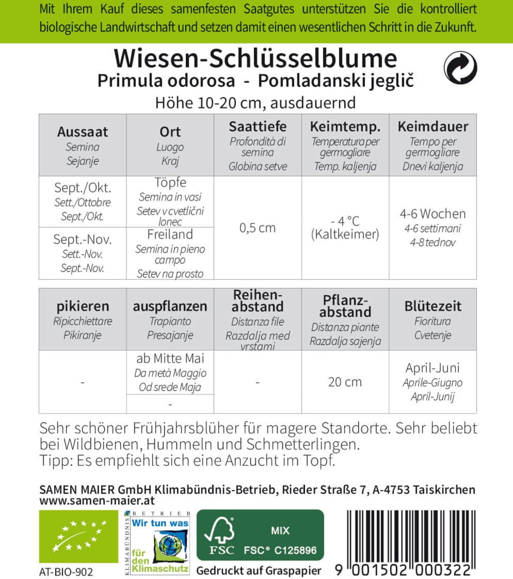 Samen Maier Bio Wildblume Wiesen-Schlüsselblume