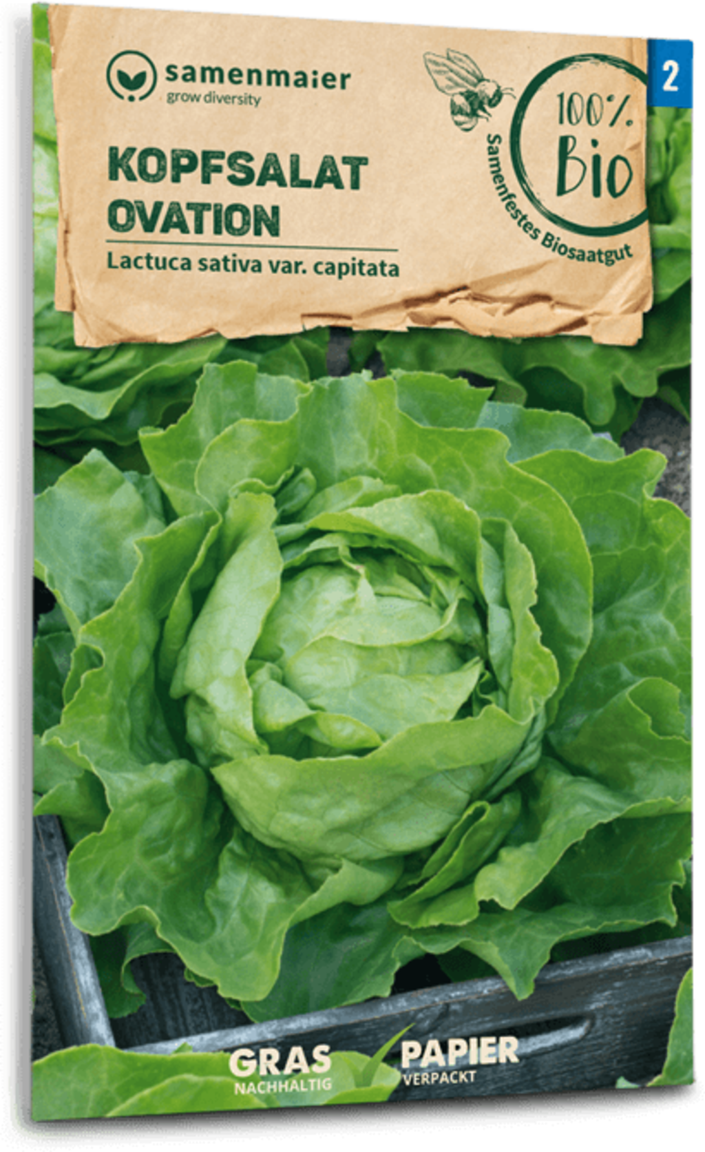 Bio Kopfsalat 