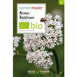 Samen Maier Bio Wildblume Arznei-Baldrian - 1 Pkg