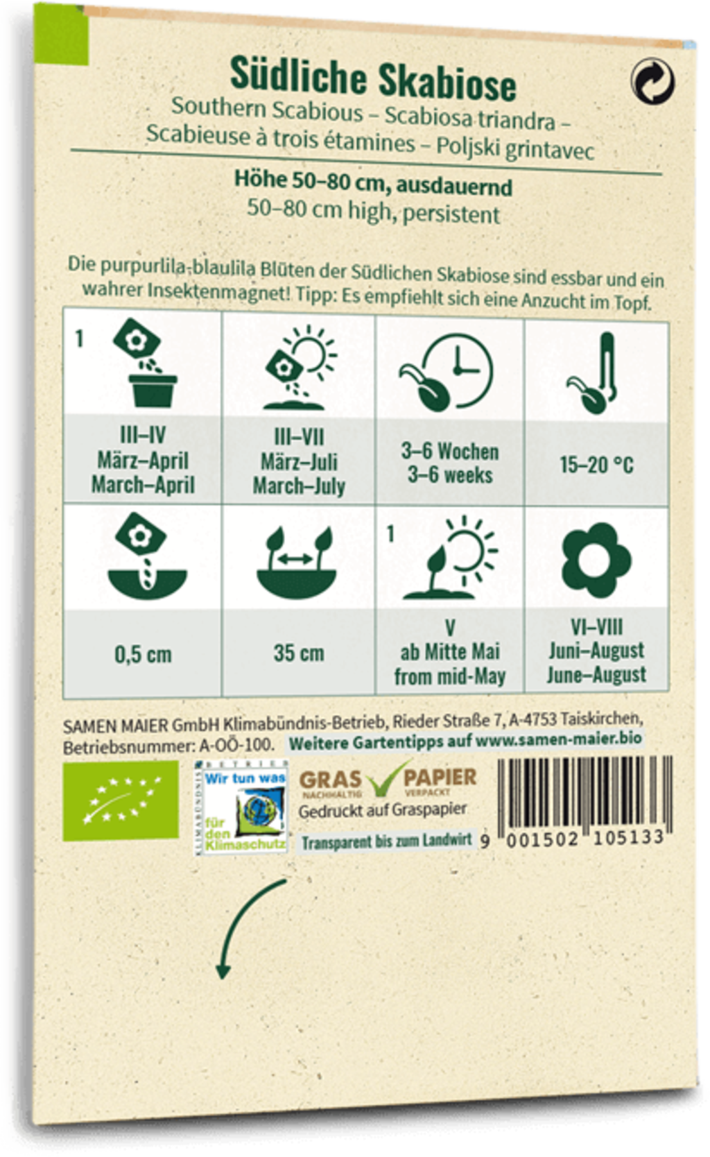 Samen Maier Bio Wildblume Südliche Skabiose