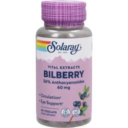 Solaray Heidelbeer Extrakt (Bilberry)