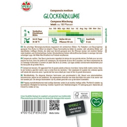Glockenblume 