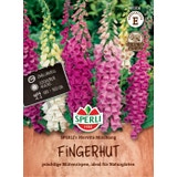 Sperli Fingerhut "Mervita Mischung''
