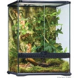 Glas Terrarium Small