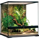 Glas Terrarium Medium