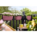 elho vibia campana easy hanger large - puderrosa