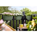 elho vibia campana easy hanger large - pistazien grün