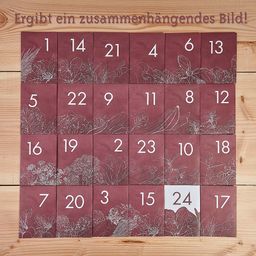 Saatgut-Adventskalender Kräuter, Gemüse & Obst - 1 Stk