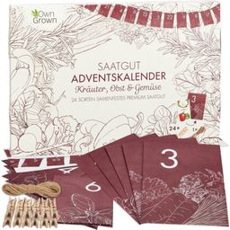 Saatgut-Adventskalender Kräuter, Gemüse & Obst - 1 Stk