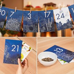 Own Grown Saatgut-Adventskalender Blumen - 1 Stk