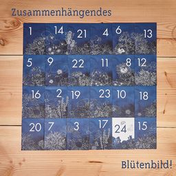 Own Grown Saatgut-Adventskalender Blumen - 1 Stk