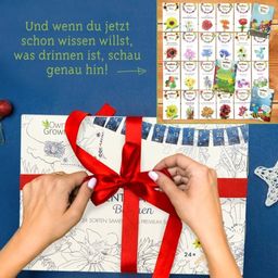 Own Grown Saatgut-Adventskalender Blumen - 1 Stk