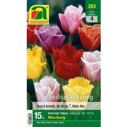 AUSTROSAAT Tulpen 