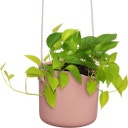 Hängetopf 18cm b.for swing, zartrosa