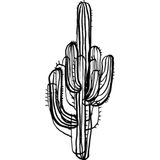 Temporäre Tattoos "Saguaro Cactus" - Pair
