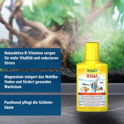 Tetra Vital - 250ml