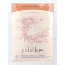 Phitofilos Reines Campechebaum-Pulver - 100 g