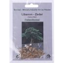 TROPICA Libanon - Zeder - 1 Pkg