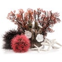Oase Decor Set 15L Red Forest - Red Forest