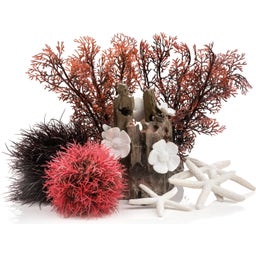 Oase Decor Set 15L Red Forest - Red Forest