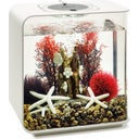 Oase Decor Set 15L Red Forest - Red Forest