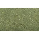 Dennerle Shrimp King Atyopsis - 35 g