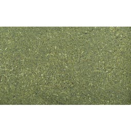 Dennerle Shrimp King Atyopsis - 35 g