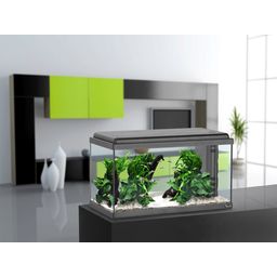 Aquatlantis Advance 60 LED Aquarienset - schwarz