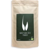 rawster Gerstengrassaft Pulver Bio