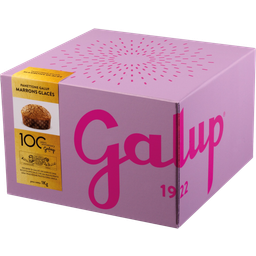 Galup Panettone mit glasierten Maroni - 1.000 g