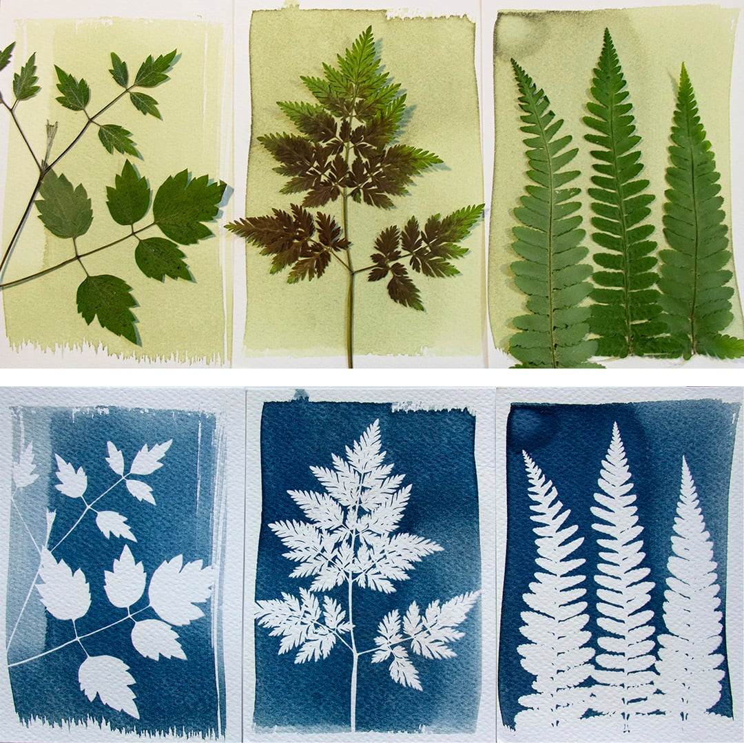Botanopia Bausatz 
